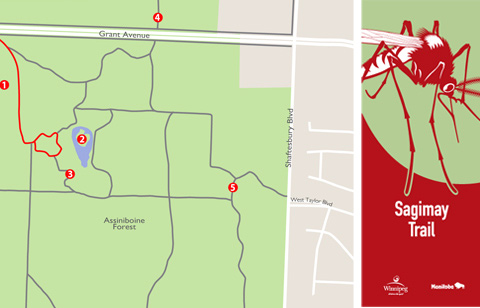 map-image-bishop map-image-bishop